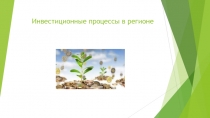 Инвестиционные процессы в регионе