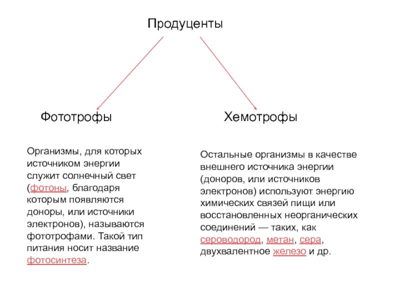 Организм хемотроф