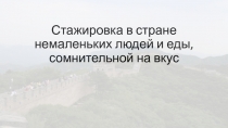 Стажировка в стране немаленьких людей и еды, сомнительной на вкус
