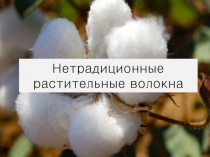Н етрадиционные растительные волокна