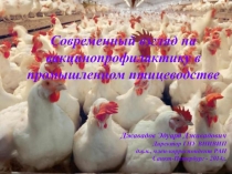 Современный взгляд на вакцинопрофилактику в промышленном птицеводстве