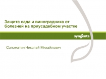 Защита сада и виноградника от болезней на приусадебном участке