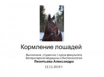 Кормление лошадей