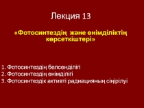 Лекция 13