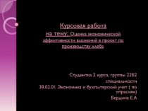 Курсовая работа на тему: Оценка экономической эффективности вложений в проект