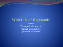 Wild Life of Highlands