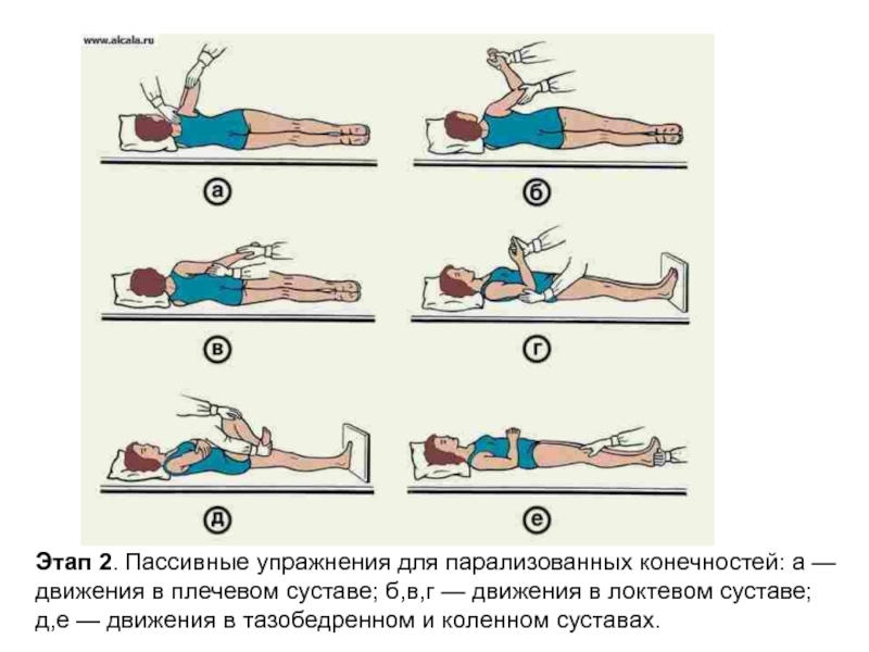 Этап 2. Пассивные упражнения для парализованных конечностей: а — движения в плечевом суставе; б,в,г — движения в