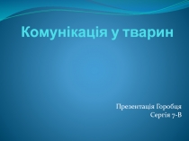 Комунікація у тварин