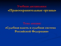 Учебная дисциплина: Правоохранительные органы