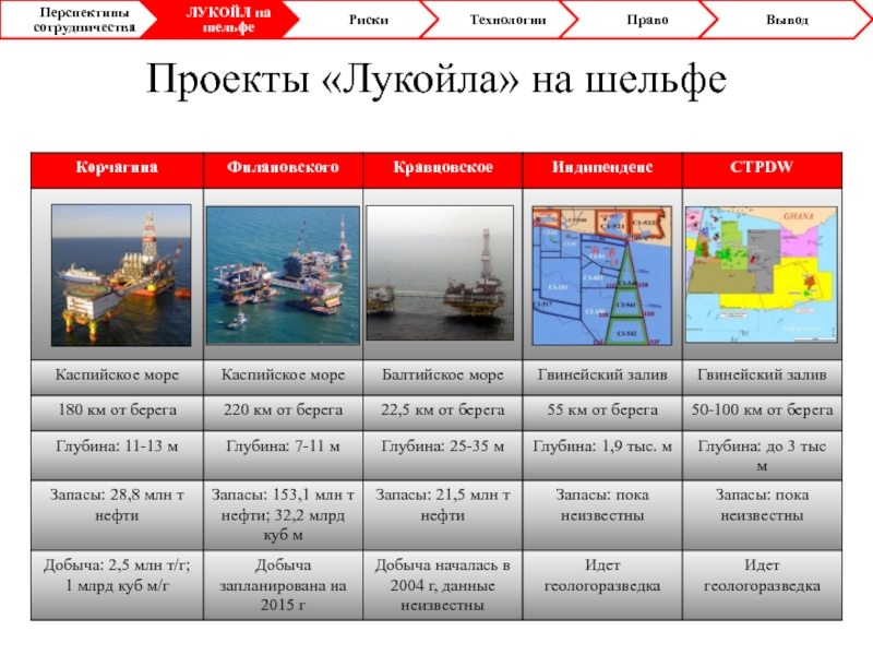 Проект перспектива лукойл