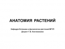 АНАТОМИЯ РАСТЕНИЙ