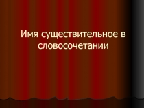 Имя существительное в словосочетании