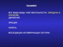 таламус
ВСЕ ВИДЫ ВИДЫ ЧУВСТВИТЕЛЬНОСТИ: ПЕРЕДАЧА И