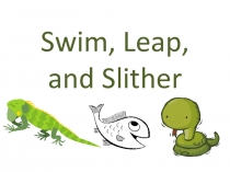 Swim, Leap, and Slither