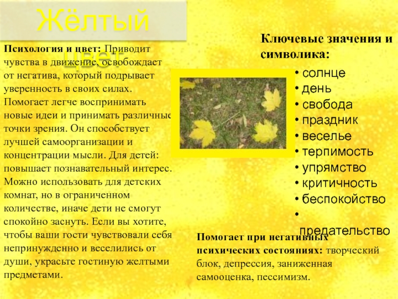 особенности влияния
ц в е т а н а психику и настроениЕ Жёлтый цвет солнце день свобода праздник веселье терпимость упрямство критичность беспокойство Жёлтый цвет солнце день свобода праздник веселье терпимость упрямство критичность беспокойство предательствоКлючевые значения и символика: Психология и