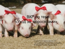 ВКР по теме:
 Уход за поросятами 
Студентка 4 курса,группа 215,
по профессии