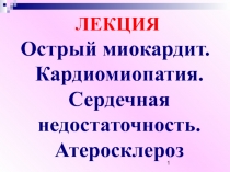 ЛЕКЦИЯ