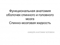 Функциональная анатомия оболочек спинного и головного мозга Спинно-мозговая
