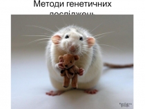 Методи генетичних досліджень