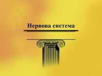 Нервова система