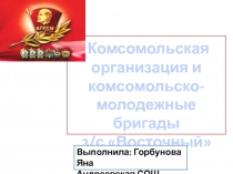 Комсомольская
организация и
к омсомольско-
м олодежные бригады
з/с