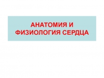 АНАТОМИЯ И ФИЗИОЛОГИЯ СЕРДЦА