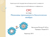 СРС на тему: Механизмы проницаемости биологических мембран