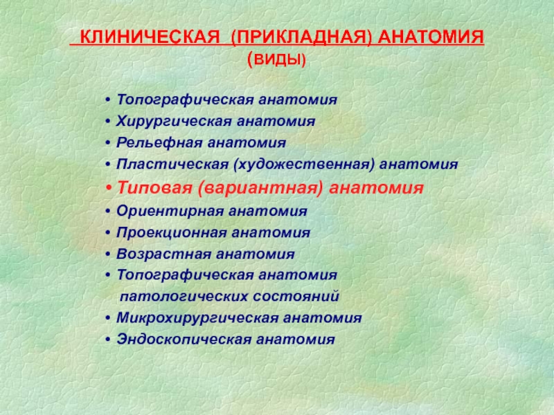 Презентации по топографической анатомии и оперативной хирургии