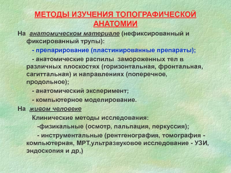 План изучения анатомии человека