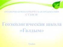 АВТОНОМНАЯ НЕКОММЕРЧЕСКАЯ ОРГАНИЗАЦИЯ
СТЭЛСИ
Тамбов
Геоэкологическая школа