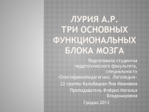 Лурия А.Р. Три основных функциональных блока мозга