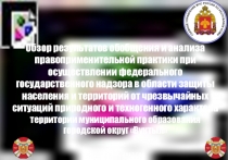 г. Вуктыл, 2017 год
Обзор результатов обобщения и анализа правоприменительной