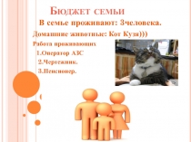 Бюджет семьи
