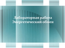 Лабораторная работа Энергетический обмен