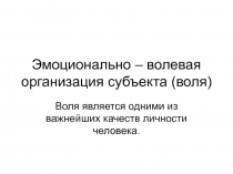 Эмоционально – волевая организация субъекта (воля)
