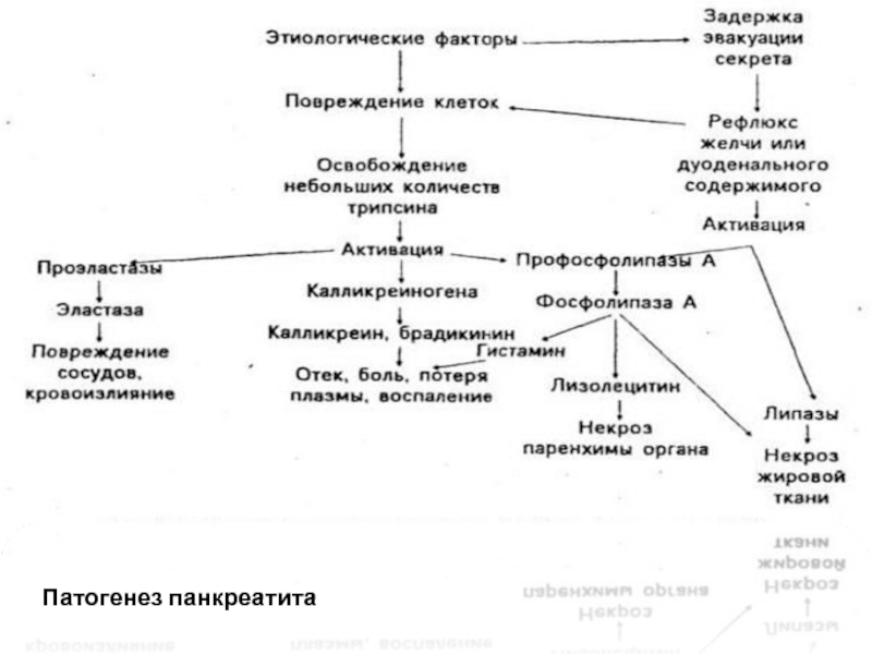 Хронический панкреатит патофизиология презентация