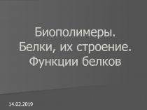 Биополимеры. Белки, их строение. Функции белков