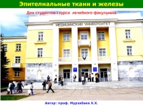 Эпителиальные ткани и железы
Автор: проф. Мурзабаев Х.Х.
Для студентов I курса