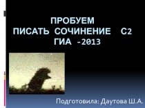 Пробуем писать сочинение С2 ГИА -2013