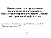 Математическое и программное обеспечение для оптимизации параметров