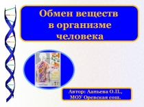 Обмен веществ
в организме
человека
Автор: Ааньева О.П.,
МОУ Оревская сош
