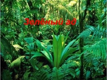 .
Зелёный ад