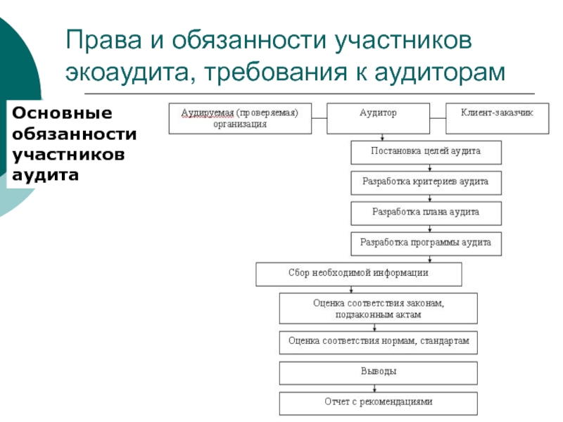 Экологический аудит схема