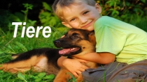 Tiere
