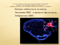 ГОСУДАРСТВЕННО Автономное образовательное учреждение высшего образования