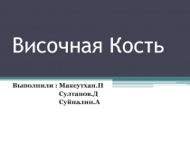 Височная Кость