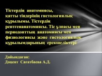 Тістердің анатомиясы, қатты тіндерінің гистологиялық құрылымы. Тістердің