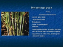 МЕТОДЫ ЗАЩИТЫ РАСТЕНИЙ ОТ ВРЕДИТЕЛЕЙ ПОНЯТИЕ ОБ ИНТЕГРИРОВАННОЙ ЗАЩИТЕ РАСТЕНИЙ