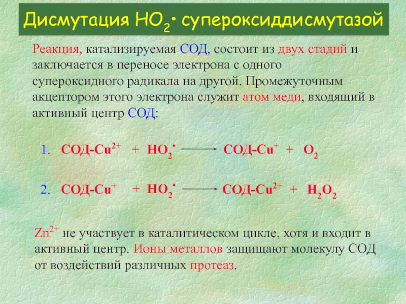 Супероксидный радикал