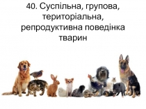 40. С успільна, групова, територіальна, репродуктивна поведінка тварин